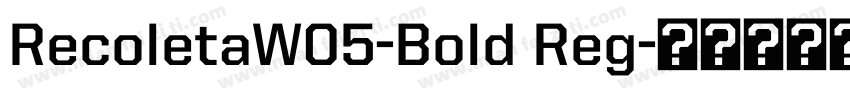 RecoletaW05-Bold Reg字体转换